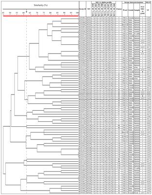 Molecular epidemiology and antimicrobial resistance patterns of carbapenem-resistant Acinetobacter baumannii isolates from patients admitted at ICUs of a teaching hospital in Zunyi, China